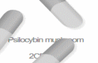 play -Drugs-