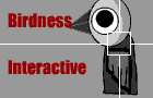 Birdness Interactive