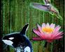 play Nature Puzzle 3 (Hard)