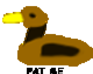 play Pat The Duck