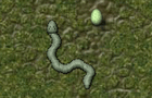 play Snake'S Adventure