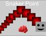 play Snaker Point