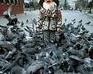 play Life Of A Birdy