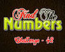 play Find The Numbers 42