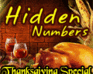 Hidden Numbers - Thanksgiving Special