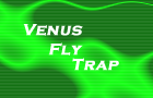 play Venus Fly Trap