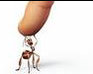 play Ant Nest