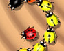 play Tailtag
