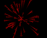 play Fireworks!