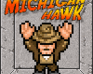 play Michigan Hawk