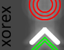 play Xorex