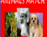 play Animals Match