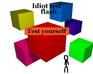 play Idiot Test