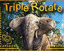 play Triple Rotate