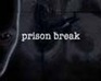 Prison Break Evolution