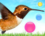 play Colour Quest