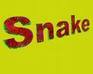 play Snake - First