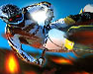 play Motorisk