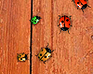 play Life Of The Bugs