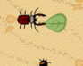 play Beetle Racers