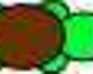 play Turtle Defense