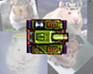 play Total Hamster World Domination