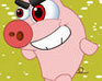 play How To Stop The Swine Flu ?