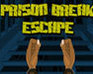 Prison Break Escape