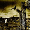 play Darkly