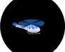 play Copter
