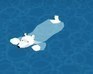 play Swim: The Last Iceberg