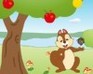 play Squirrel Mania