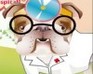 play Dr.Bulldog'S Pets Hospital