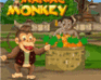 play Maniacmonkey