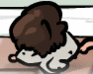 play Kitty Kitty Hi Hi