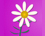play Valentine'S Daisy