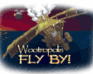 play Wootropolis Flyby