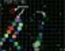 play Snake-Roid
