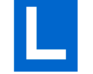 play L-Pong