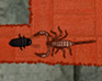 play Clickroach
