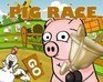 play Pigrace