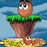 play Crazy Nut