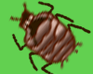 play Monkey Groomer