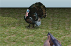 play Turkey Shooter 3D