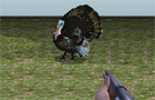 Turkey Shooter 3D