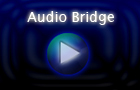 play Ng Audio Bridge