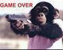 play The Sand Man Defends Sand Land From The Monkey Horde Of Doom