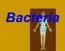 Bacteria