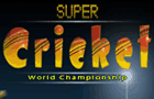 play Supercricket