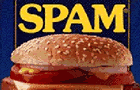 play Find The Spam!